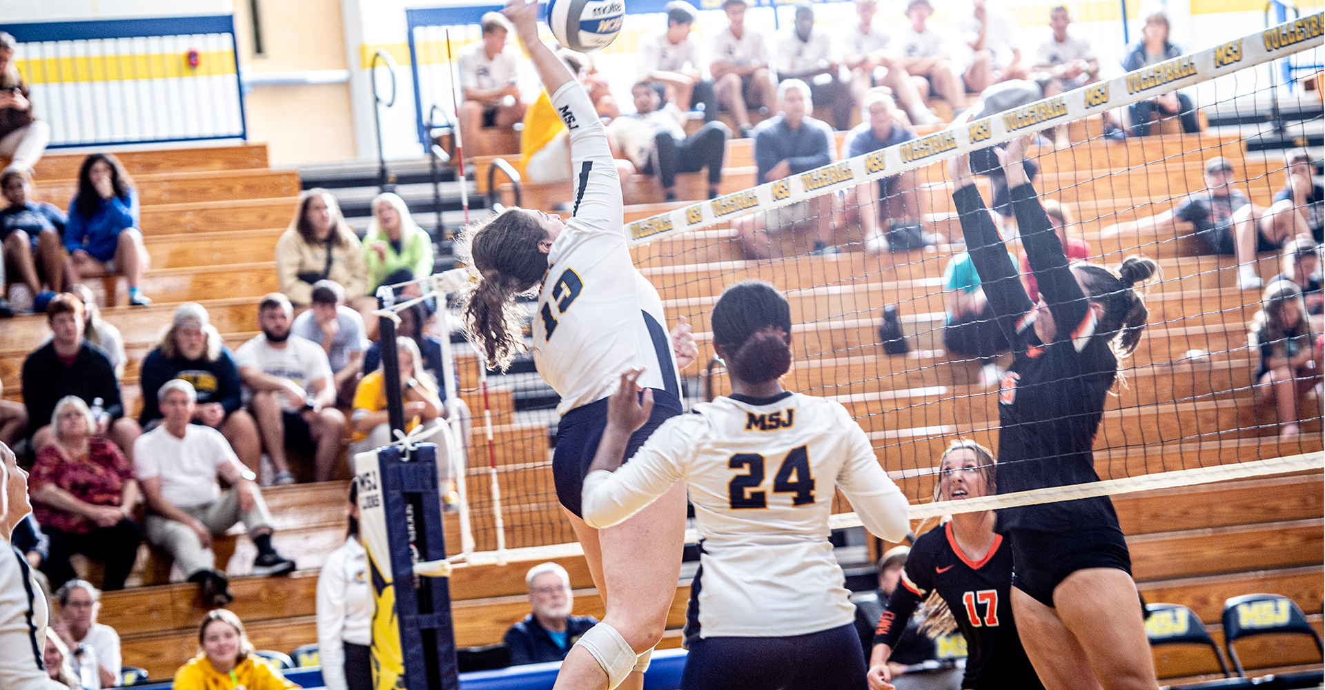 volleyball players