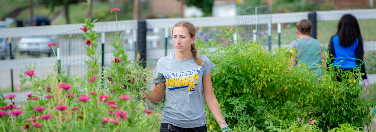 sustainability header