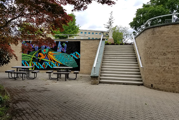 MSJ students sitting at benches beside MSJ Cicada Mural at Mount St. Joseph University