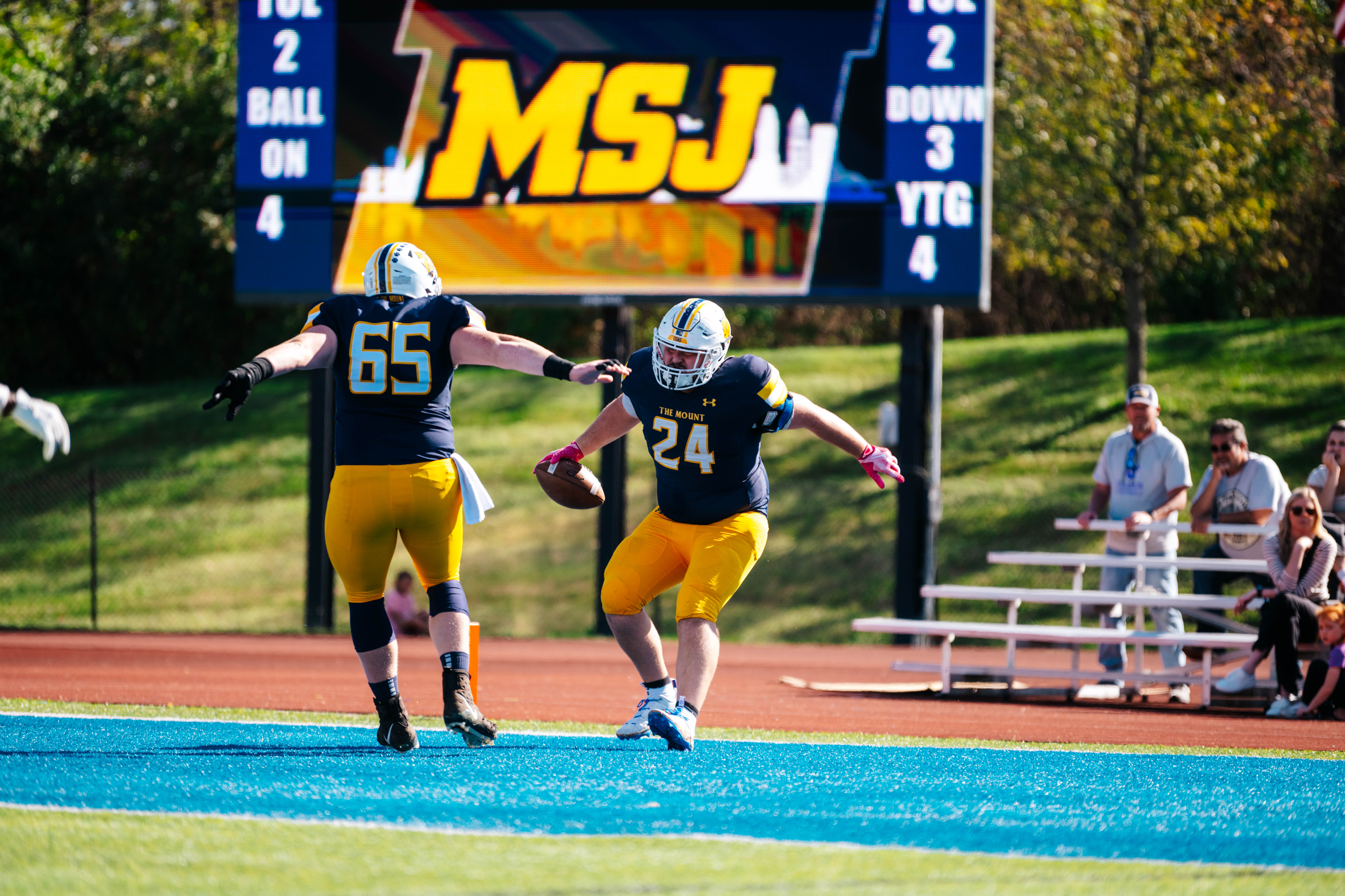 MSJ Tailgate