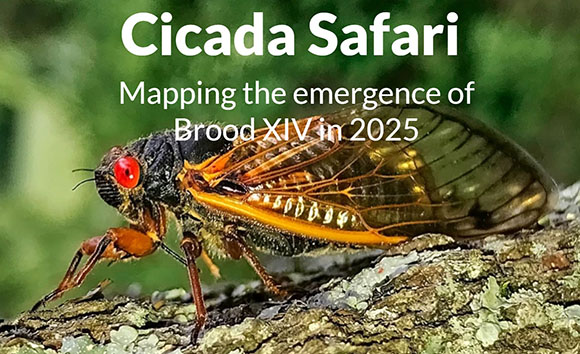 Mount St. Joseph News 